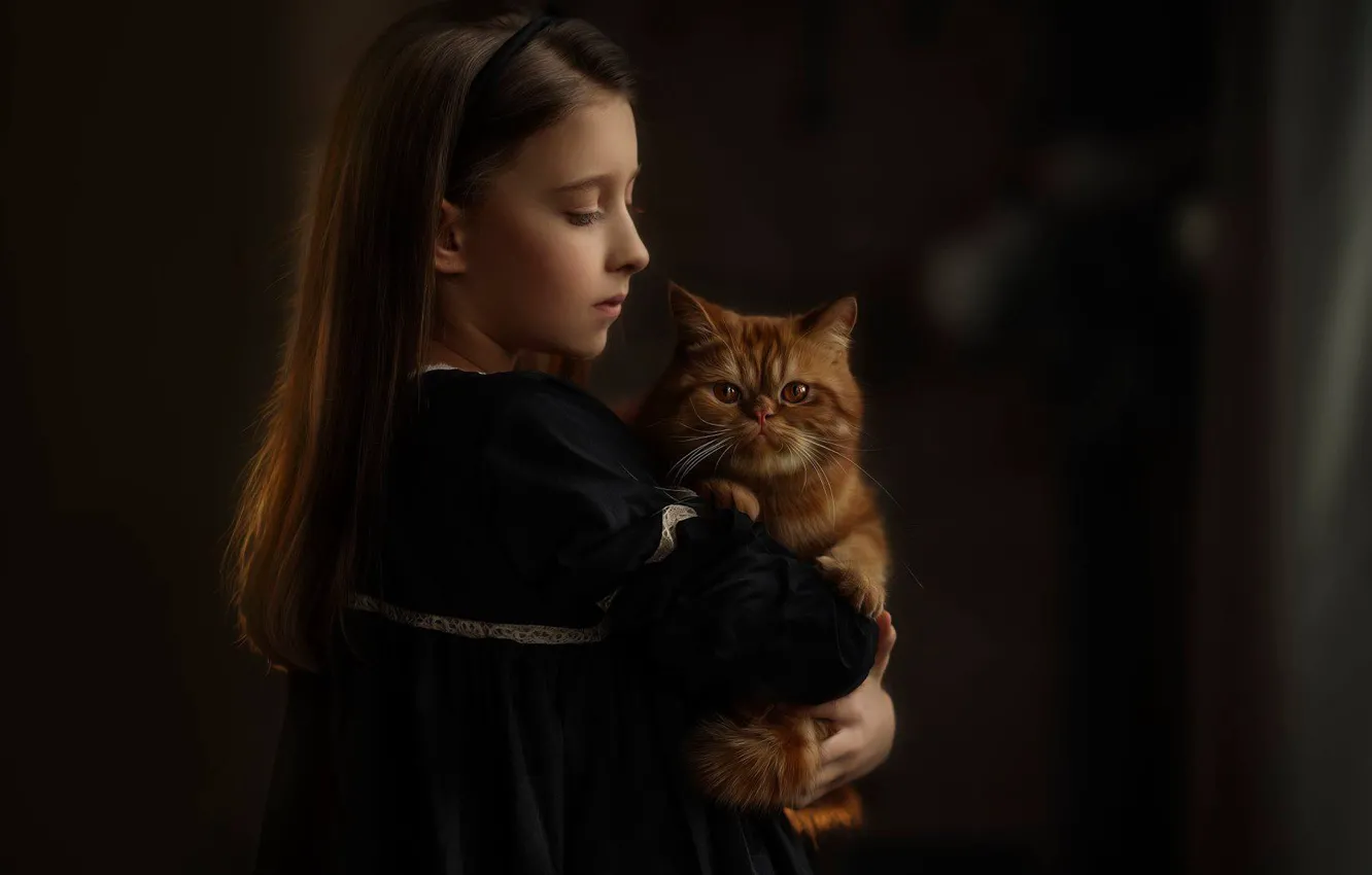 Фото обои портрет, девочка, рыжий кот