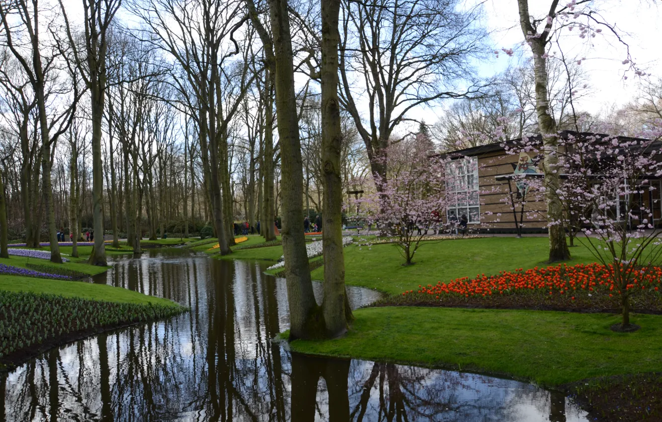 Фото обои Holland, Keukenhof, Niederlande, Blumenhof