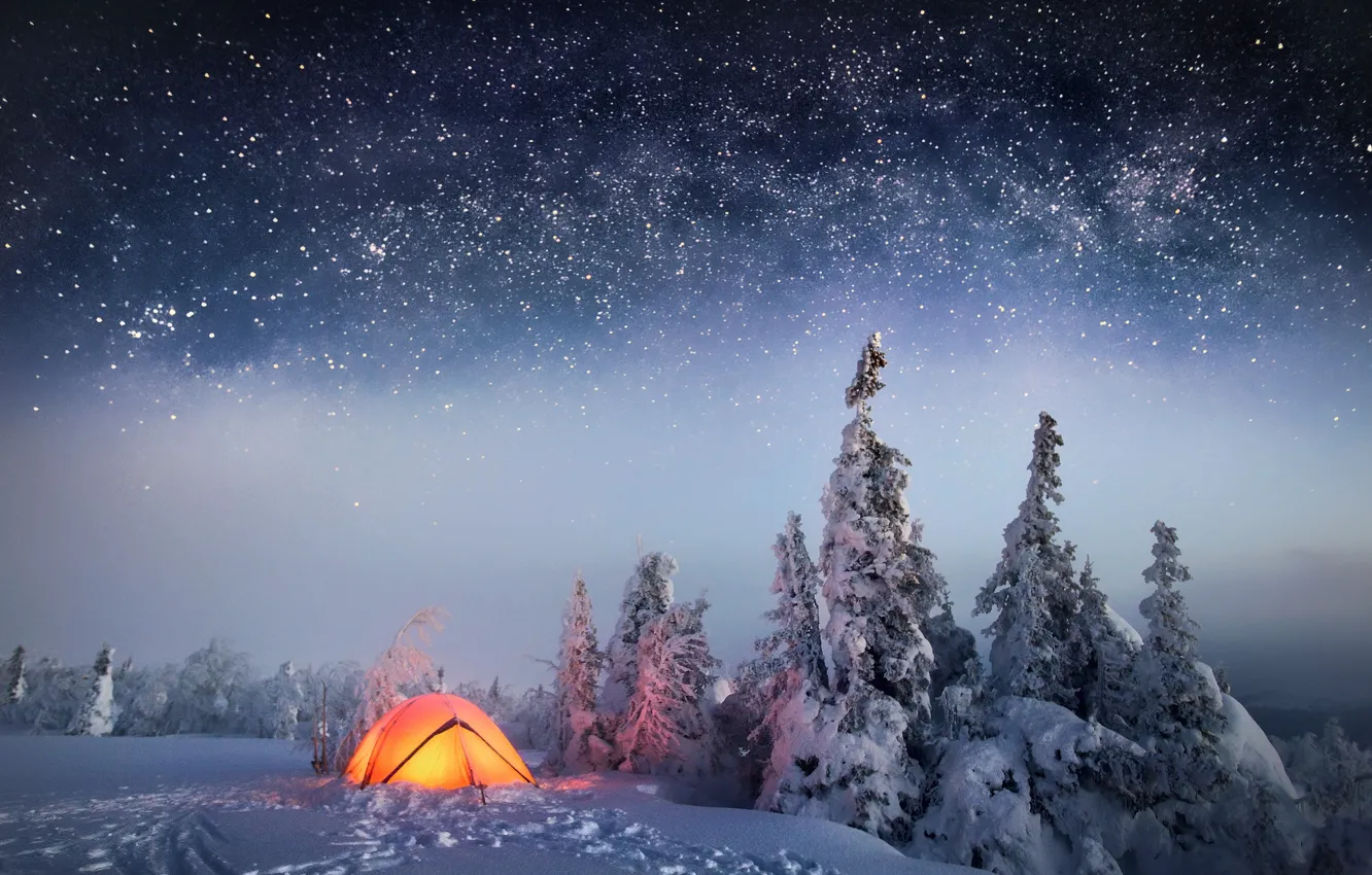 Фото обои зима, лес, небо, звезды, снег, ночь, палатка