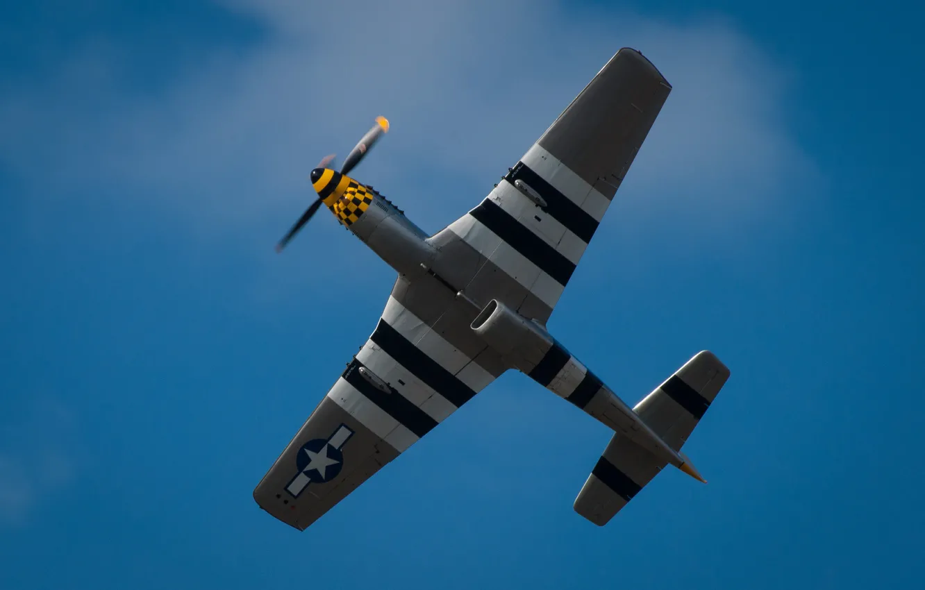 Фото обои Mustang, крылья, истребитель, P-51D, одноместный