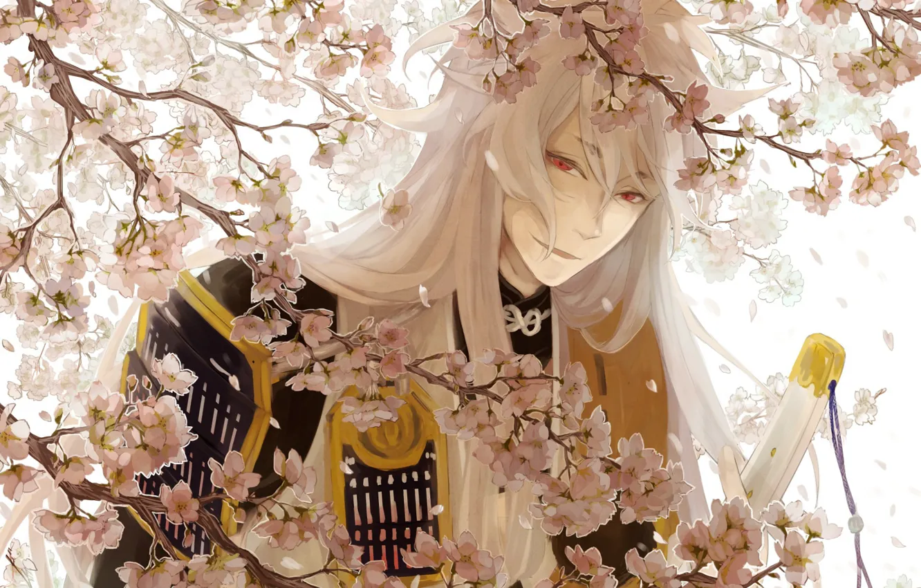 Фото обои цветы, ветки, весна, аниме, арт, парень, Touken ranbu, Танец Мечей