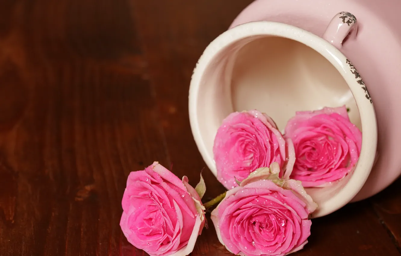 Фото обои розовый, розы, ваза