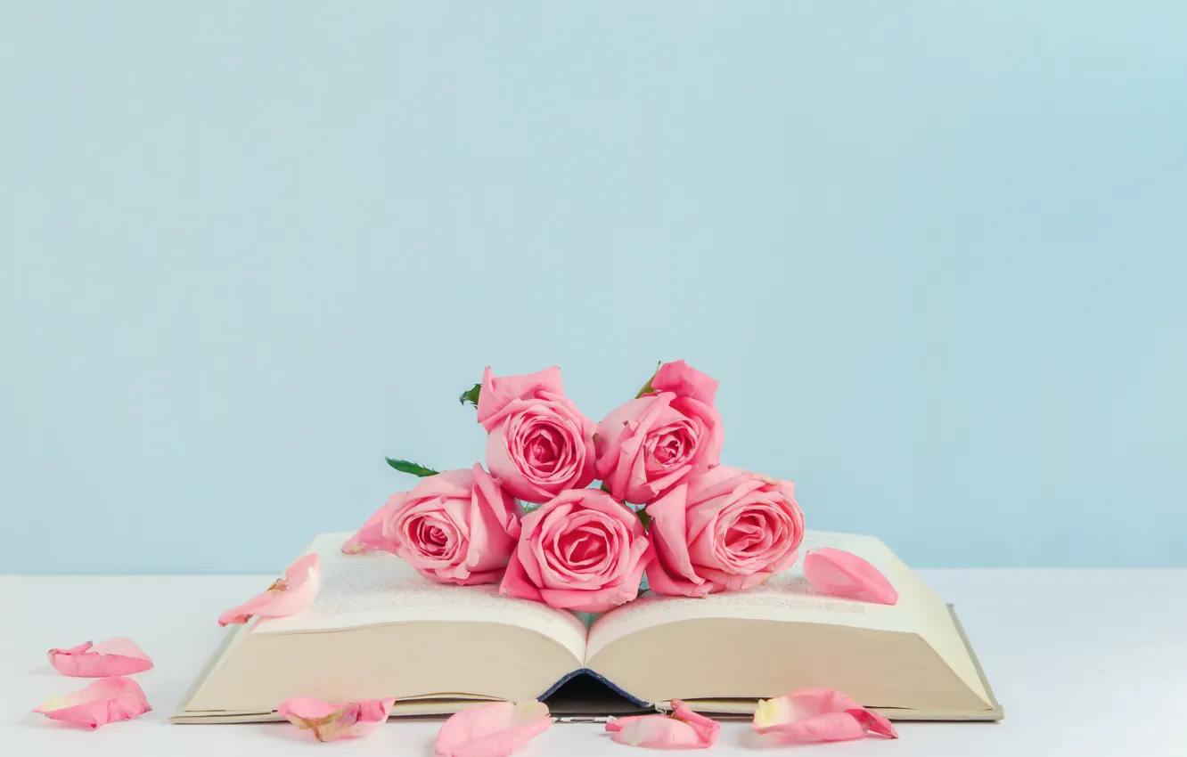 Фото обои цветы, розы, лепестки, книга, розовые, бутоны, pink, flowers