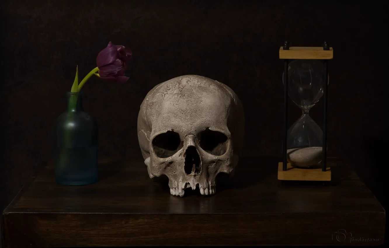Фото обои цветок, часы, череп