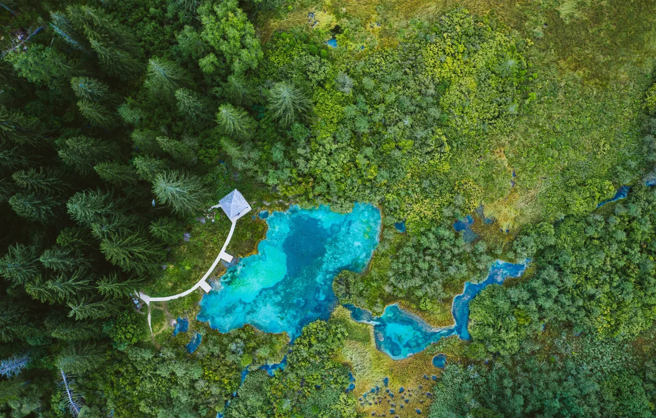 Фото обои Озеро, Словения, Lake, Sloveniam, Лесной природный заповедник Зеленчи, Forest Zelenci Nature Reserve