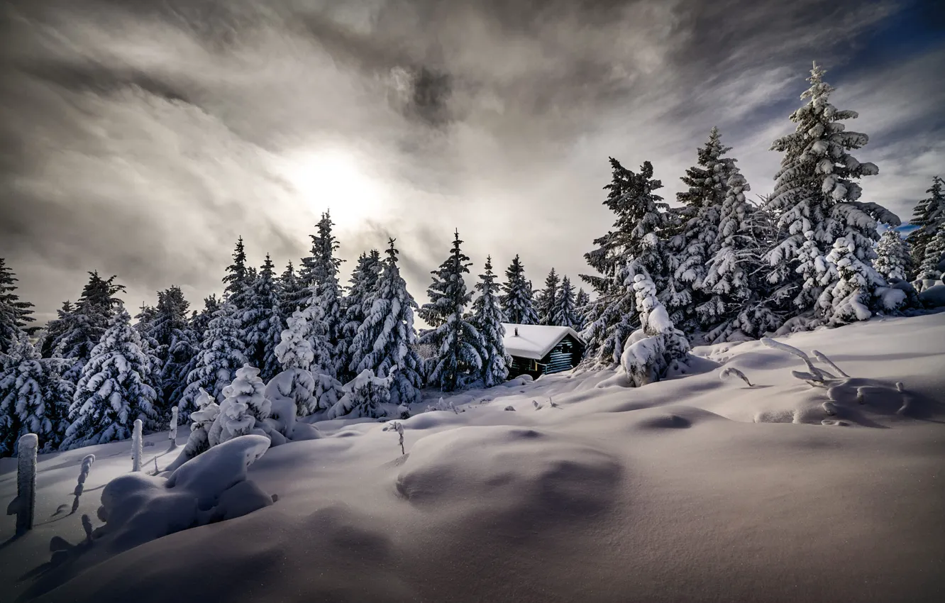 Фото обои зима, снег, деревья, пейзаж, природа, дом, ели, Robert Didierjean