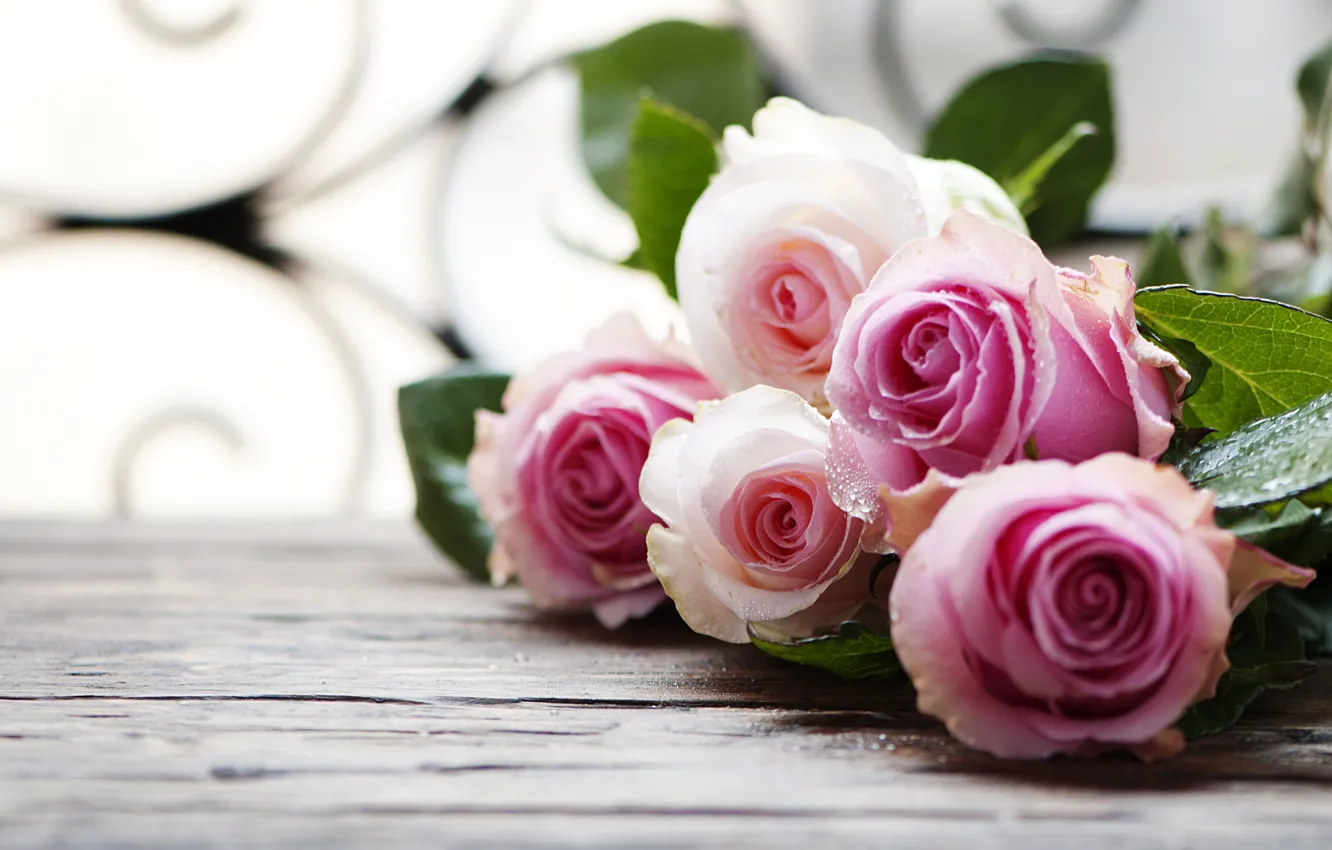 Фото обои листья, капли, розы, розовые, бутоны, мокрые, боке, крупным планом