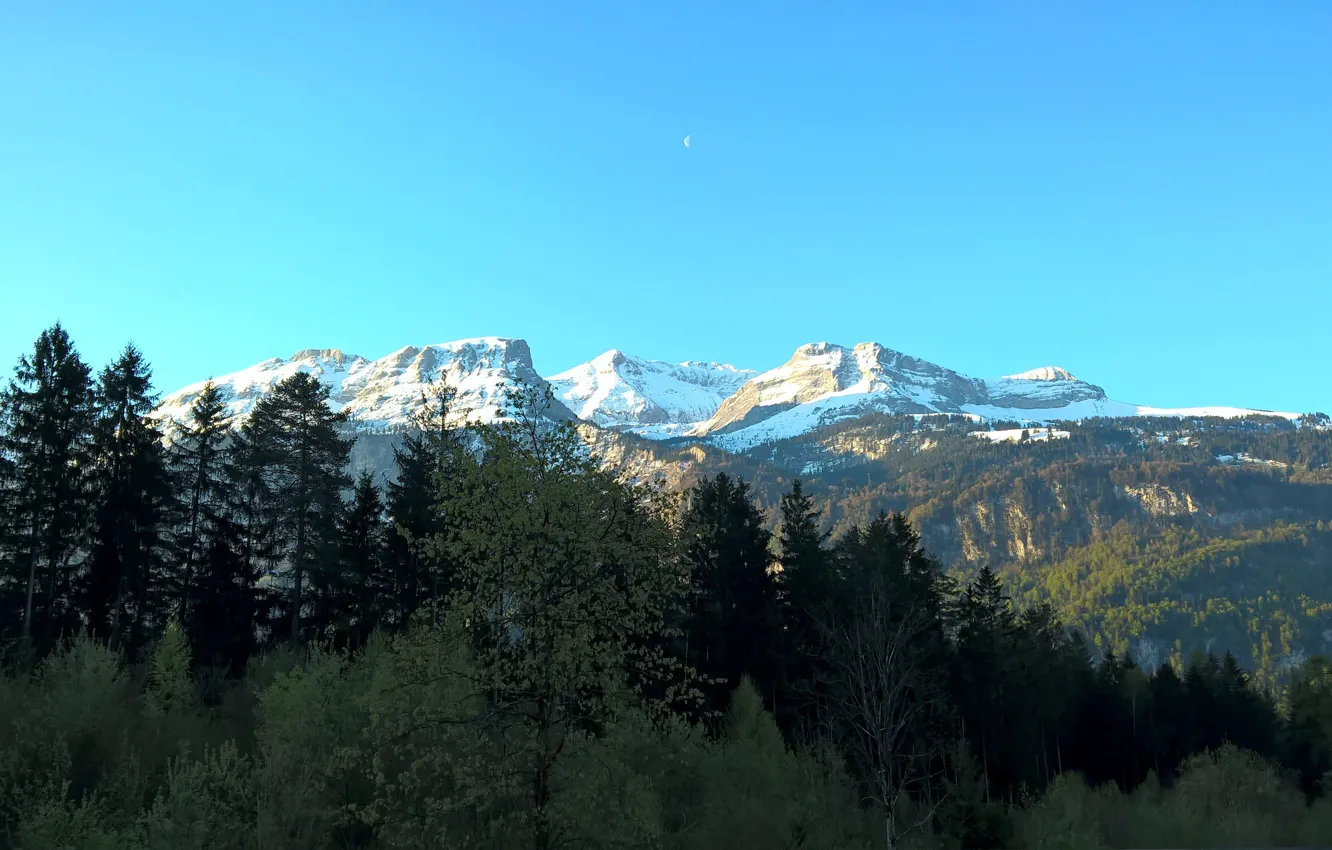 Фото обои moon, trees, mountains, snow, morning, switzerland, sunny, berne