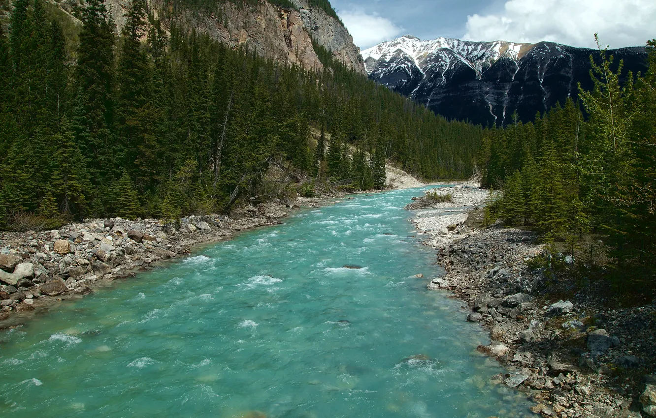 Фото обои лес, небо, облака, деревья, горы, река, Canada, Icefields Parkway