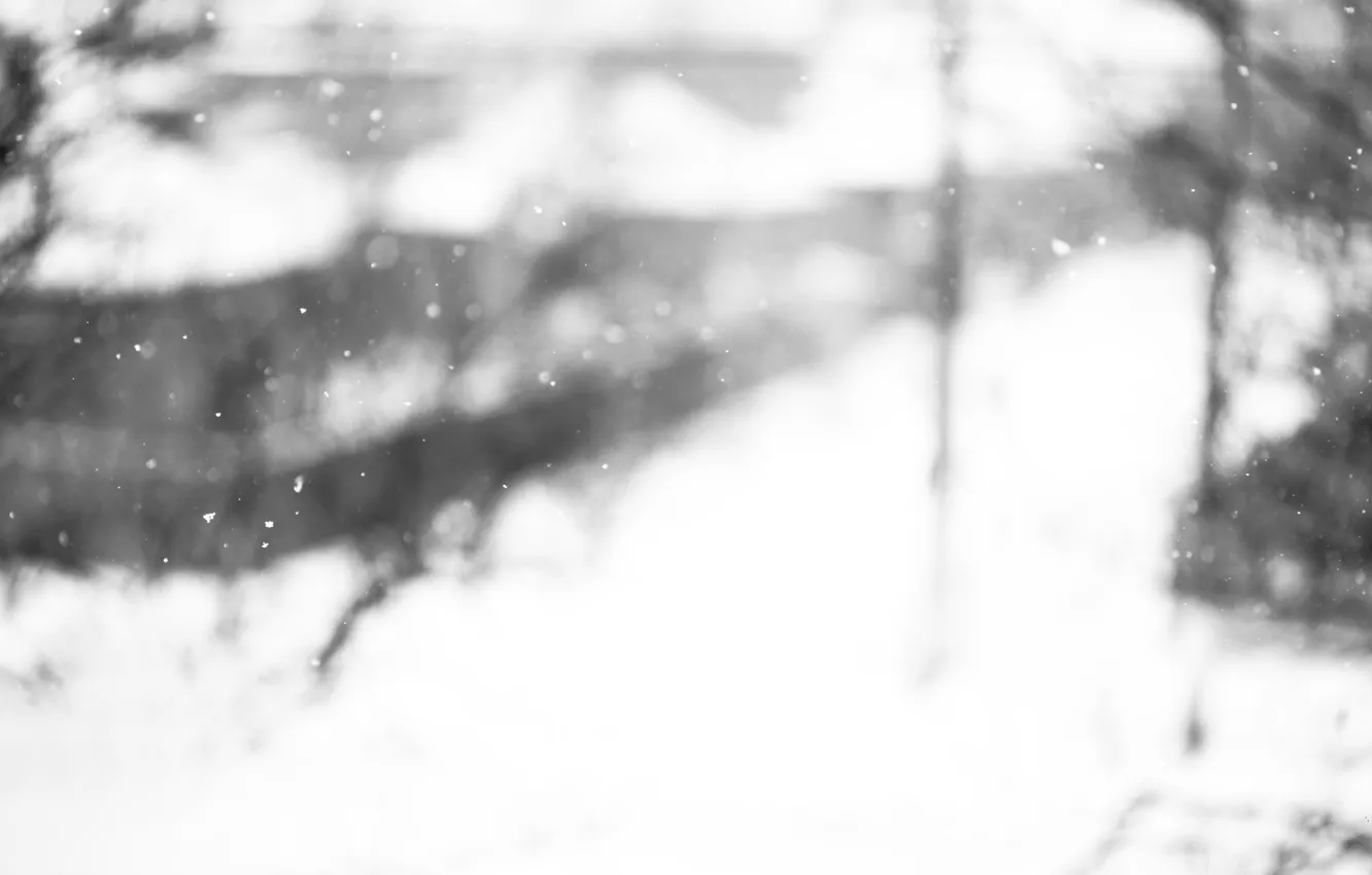 Фото обои зима, стекло, макро, снег, снежинки, настроение, окна, окно