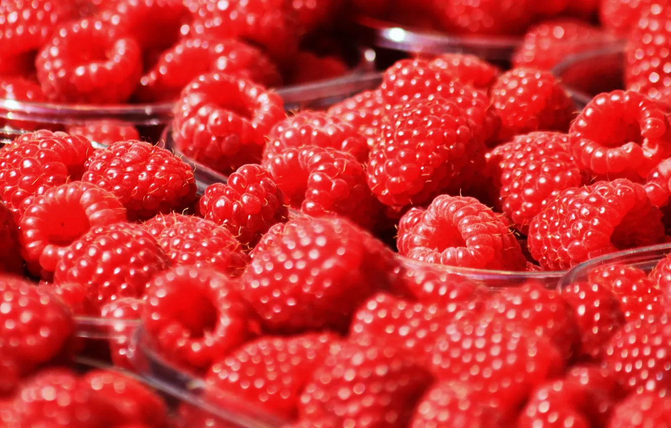 Фото обои макро, ягоды, малина, еда, размытие, красная, много, контейнеры