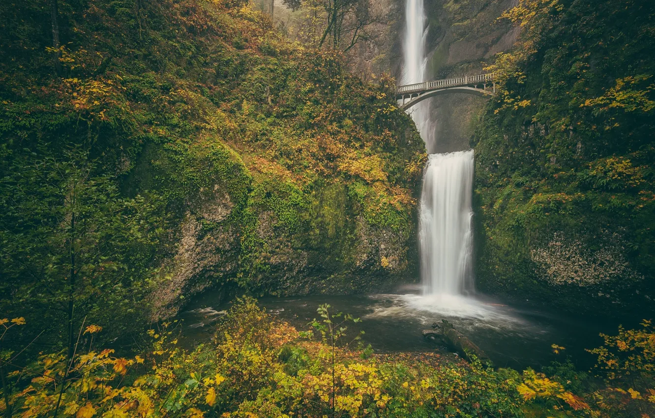 Фото обои осень, мост, скала, водопад, Орегон, Oregon, Columbia River Gorge, водопад Малтнома