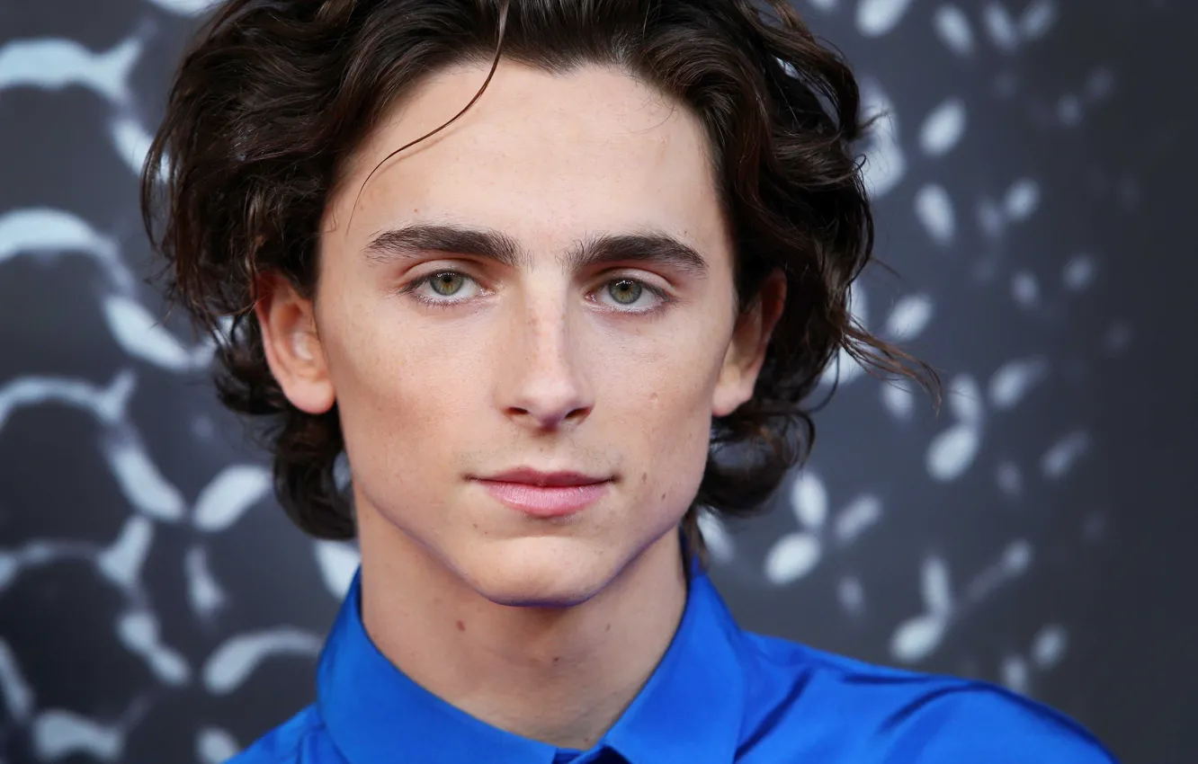 Фото обои взгляд, портрет, актер, Тимоти Шаламе, Timothée Chalamet