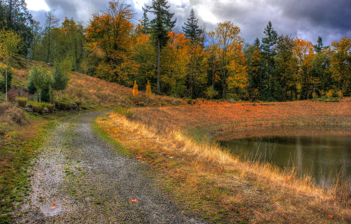 Фото обои HDR, Осень, Деревья, Fall, Дорожка, Autumn, Colors, Trees