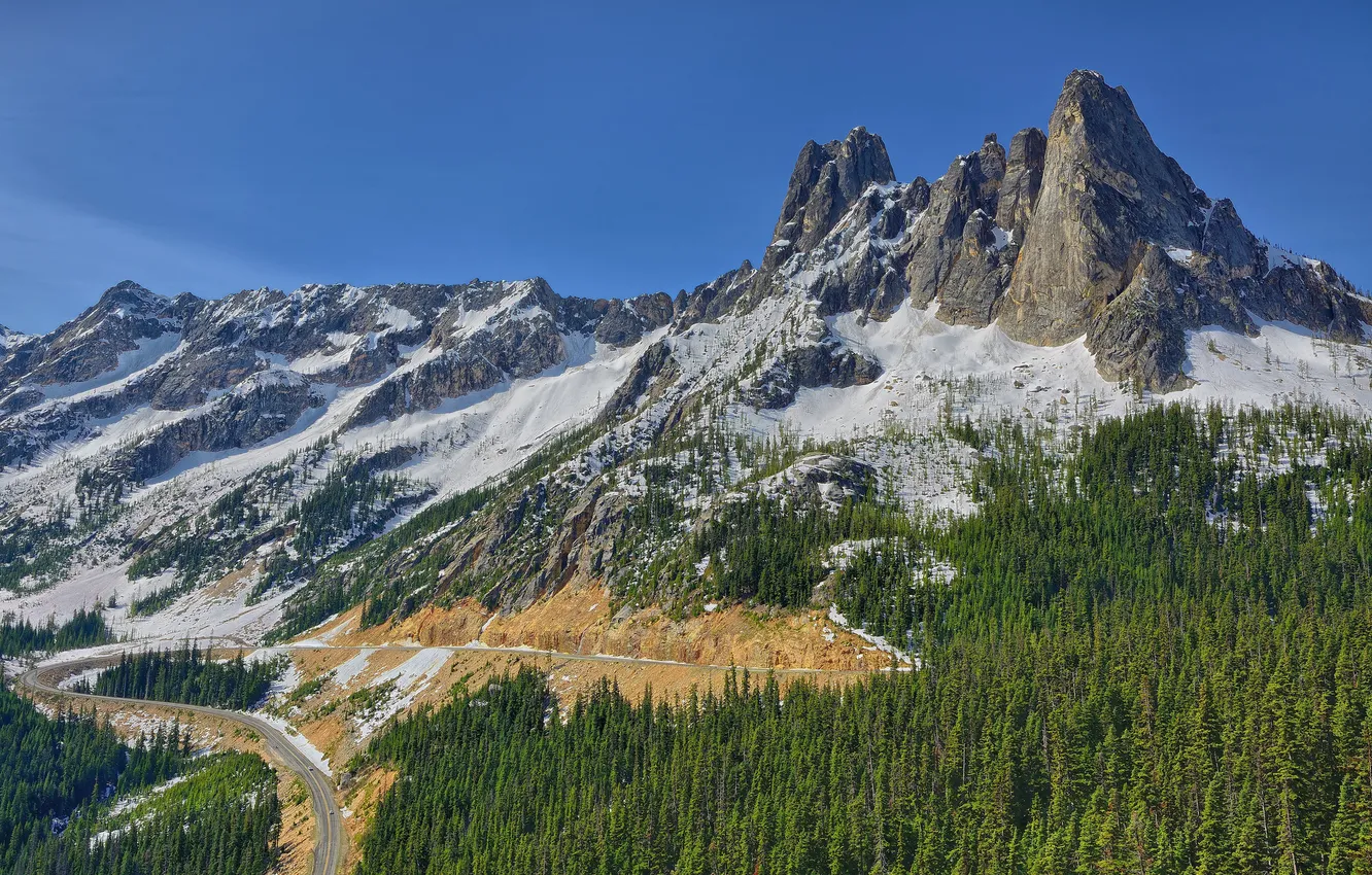 Фото обои дорога, лес, горы, Washington, North Cascades, Liberty Bell Mountain