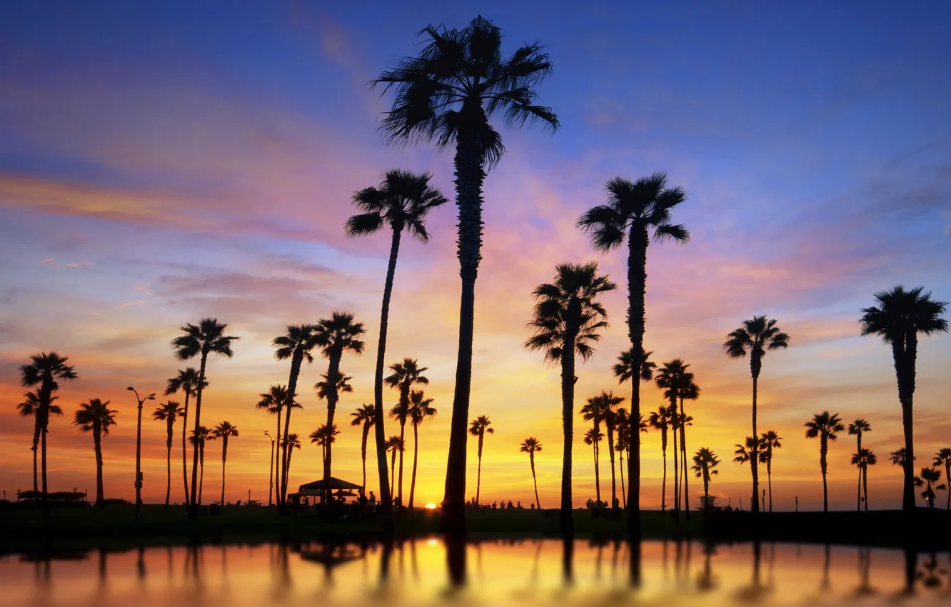 Фото обои вода, солнце, пейзаж, закат, пальмы, люди, отдых