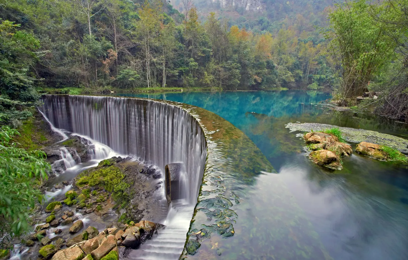 Фото обои лес, река, водопад, forest, river, landscape, waterfall, stream