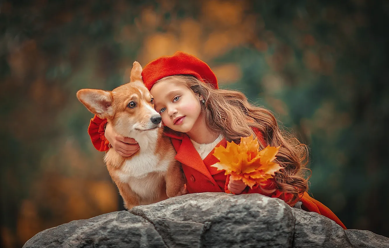 Фото обои осень, листья, природа, камни, портрет, собака, букет, девочка