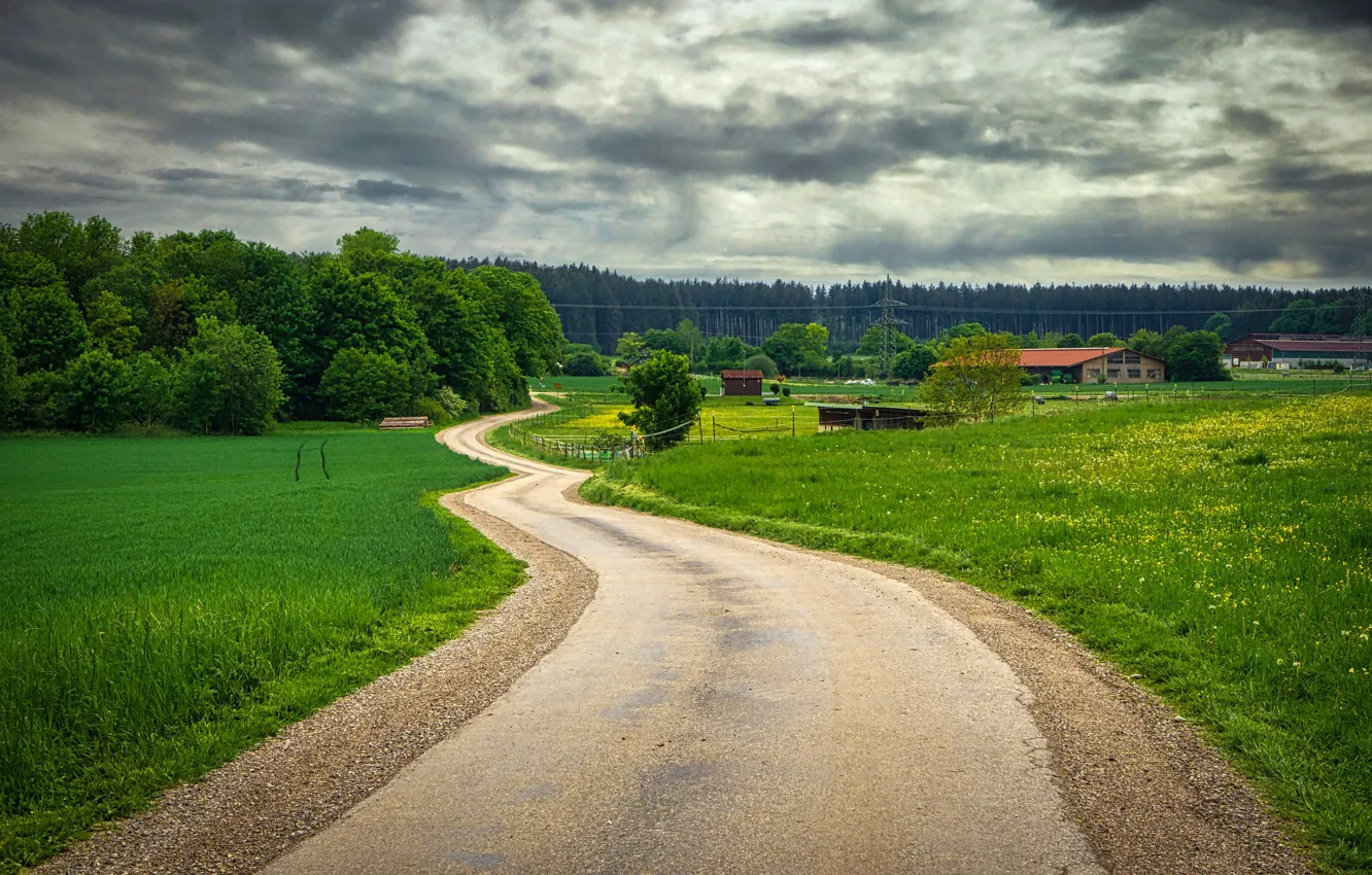 Фото обои дорога, зелень, поле, лес, небо, трава, деревья, тучи