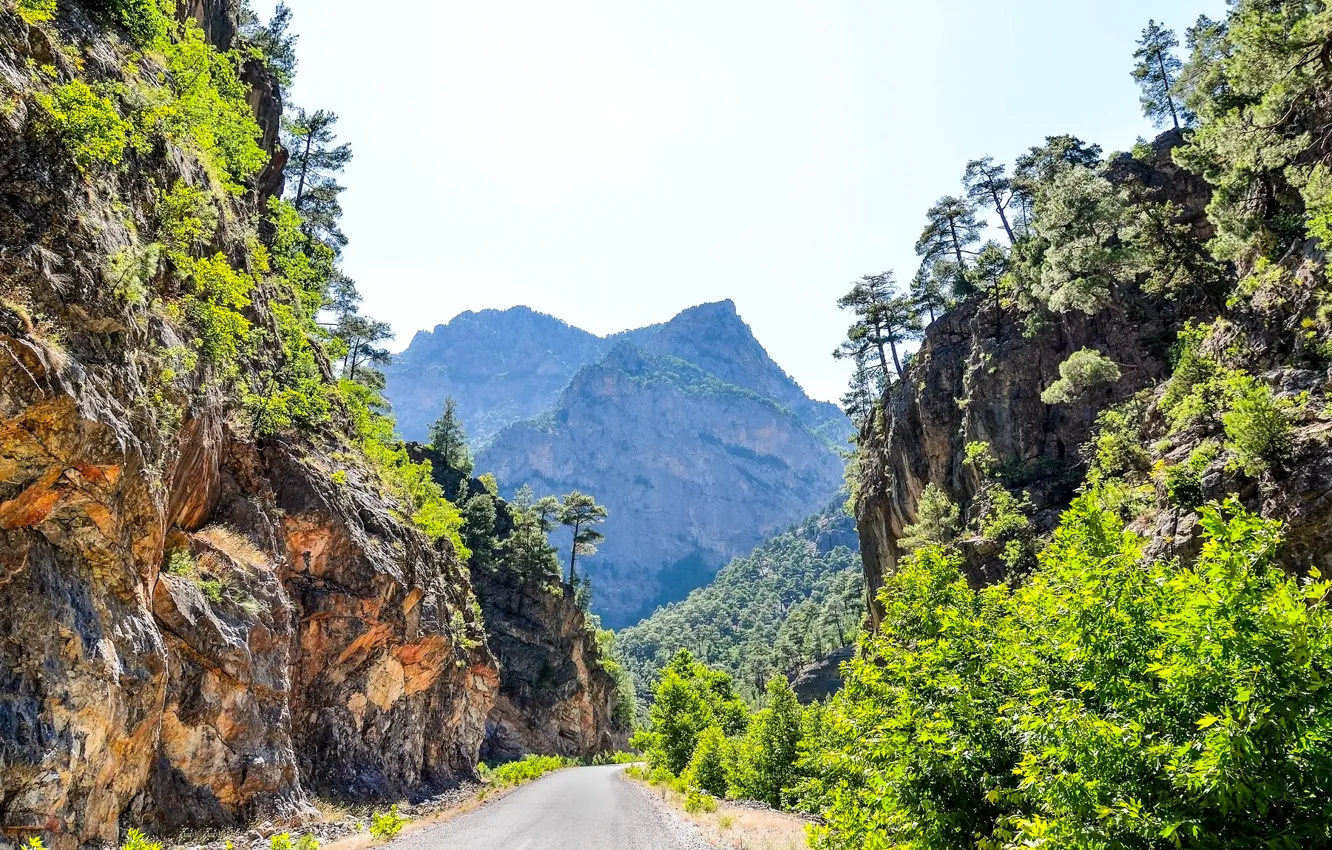 Фото обои дорога, деревья, горы, скалы, Турция