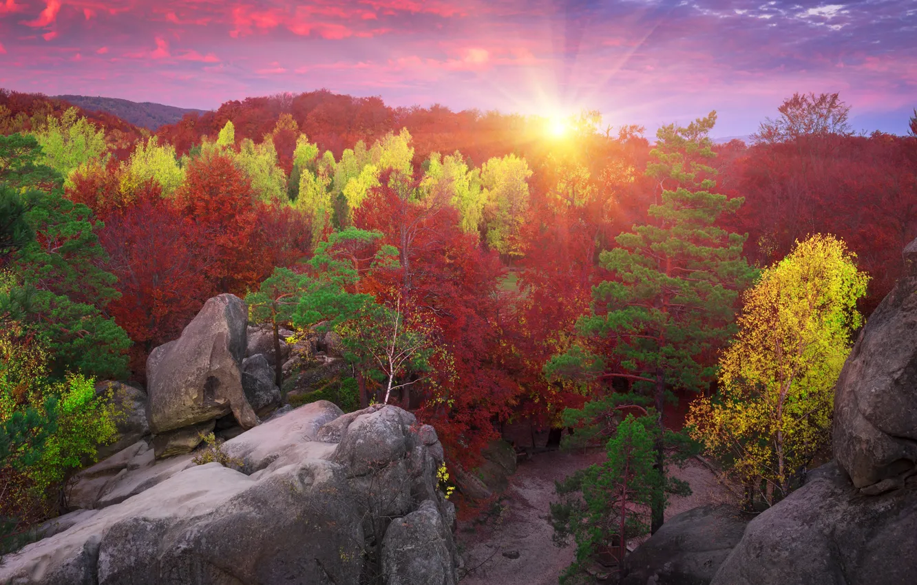 Фото обои осень, лес, небо, солнце, лучи, деревья, камни, скалы