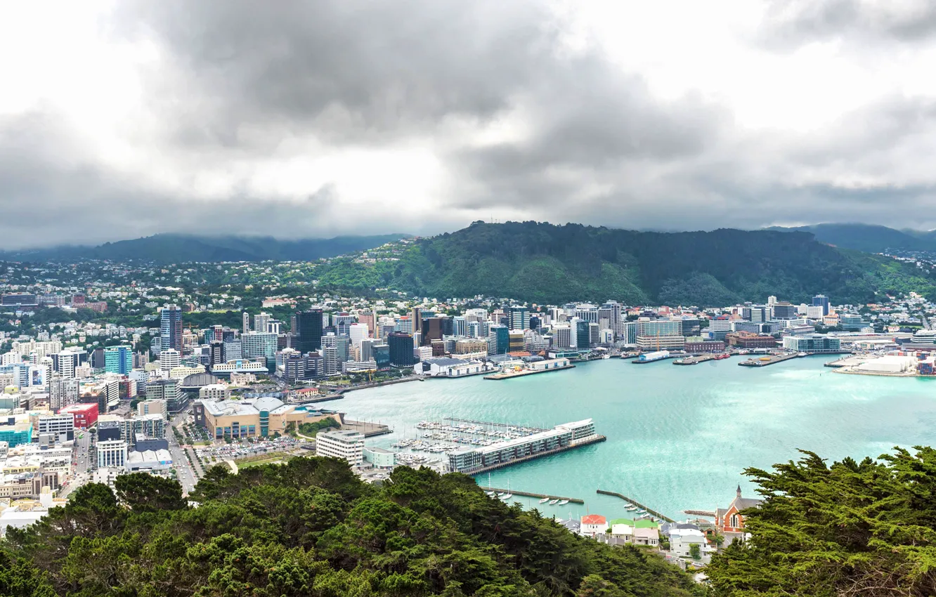 Фото обои Новая Зеландия, холм, панорама, Веллингтон