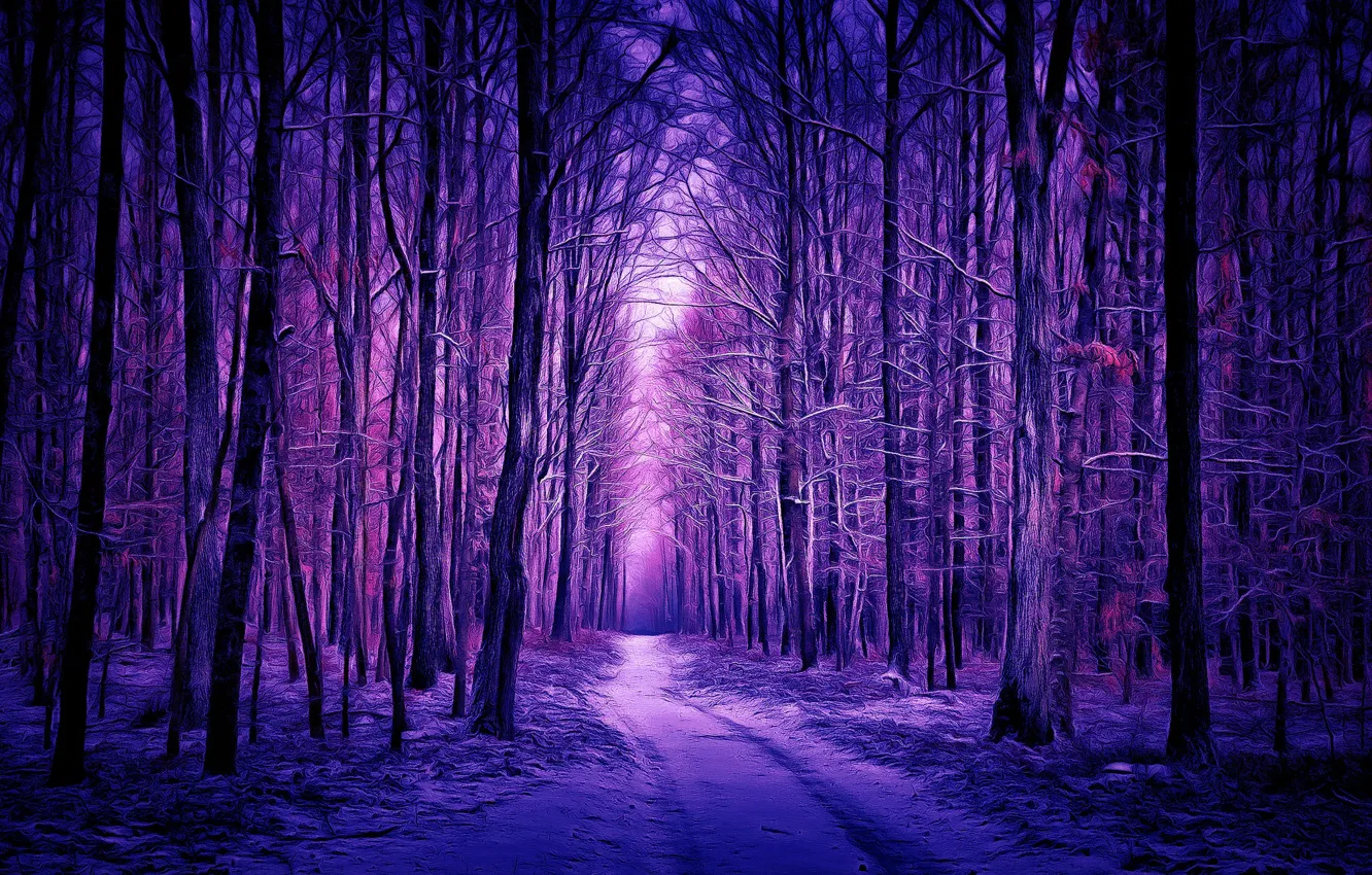 Фото обои зима, лес, digital painting, winter forest
