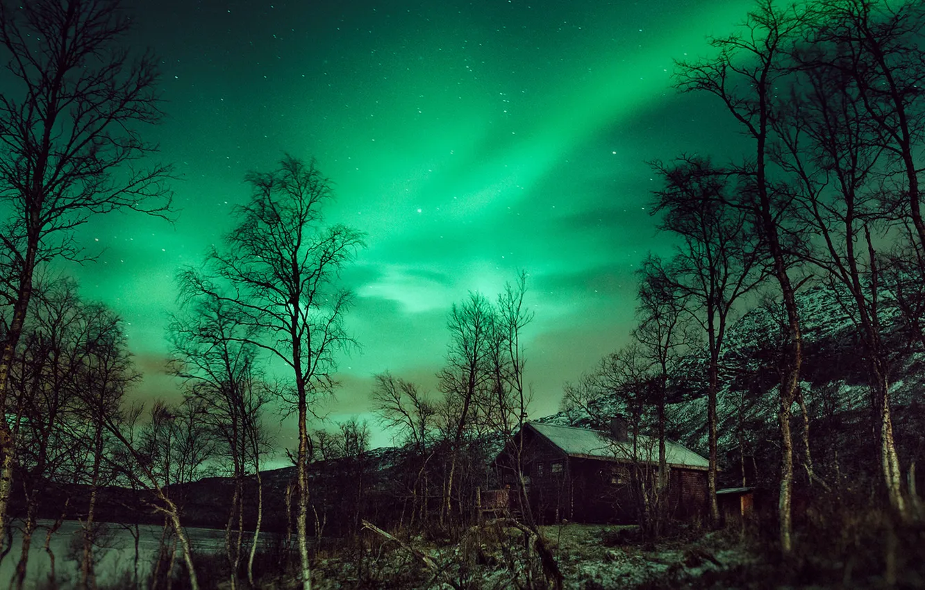 Фото обои northern lights, cabin, hut, aurora borealis