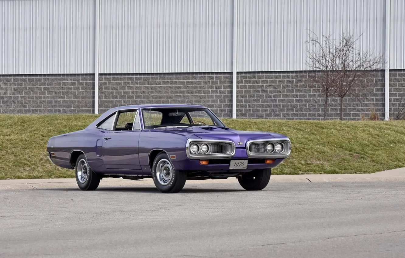 Фото обои Dodge, Purple, 1970, Coronet, Old, Super Bee