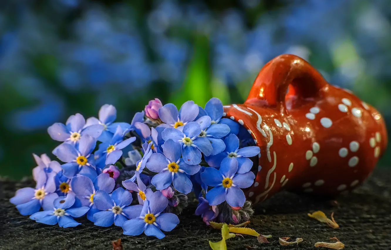 Фото обои цветы, голубой, букет, ваза