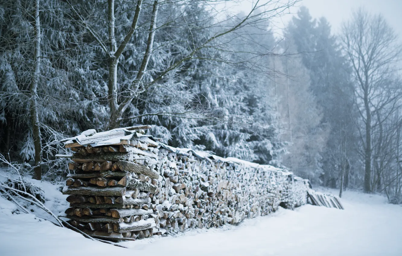 Фото обои зима, снег, дрова