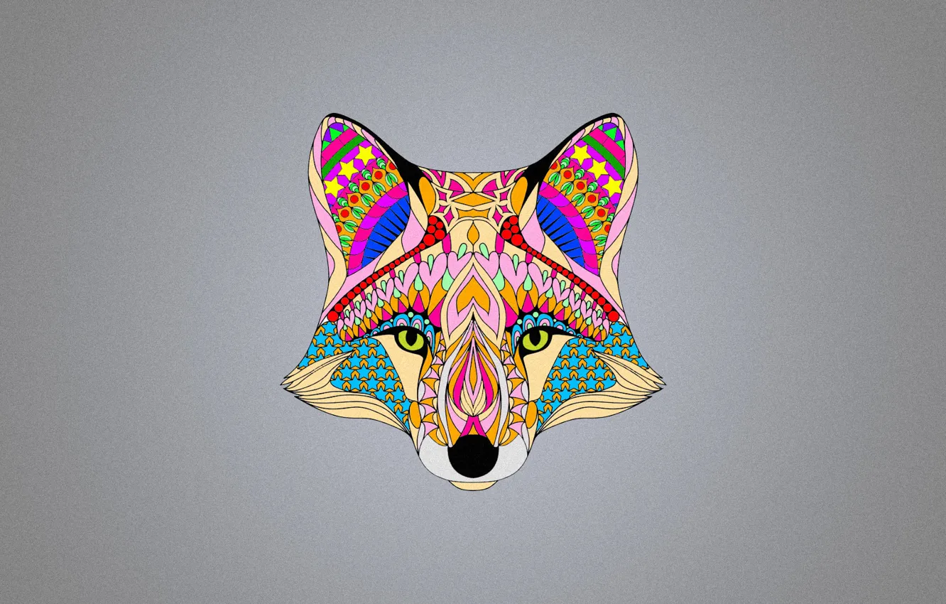 Фото обои цвета, абстракция, фон, лиса, fox