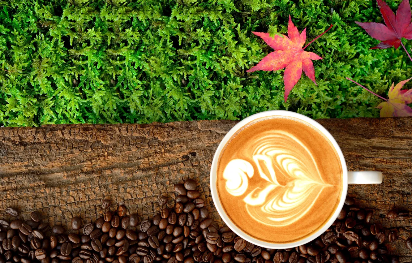 Фото обои осень, листья, кофе, colorful, чашка, wood, autumn, leaves