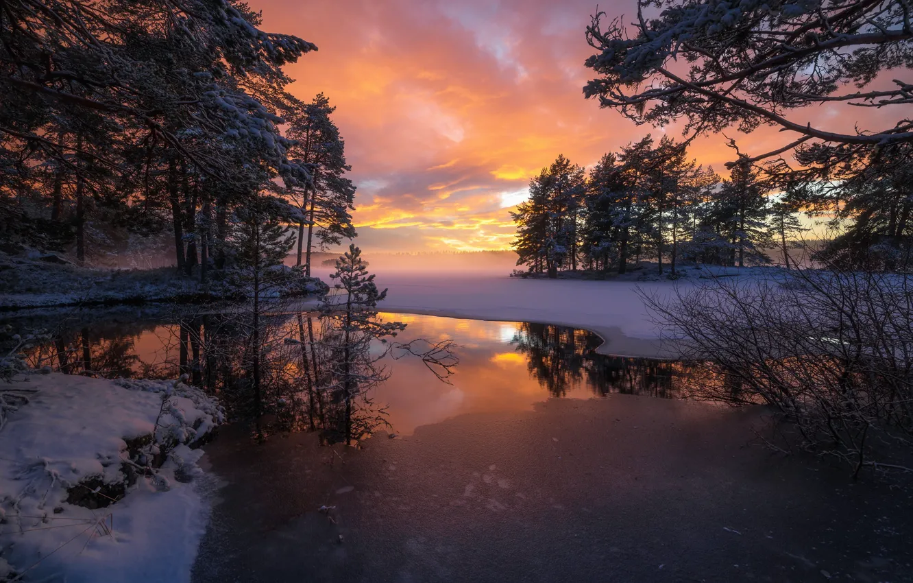 Фото обои деревья, закат, озеро, отражение, Норвегия, Norway, Рингерике, Ringerike