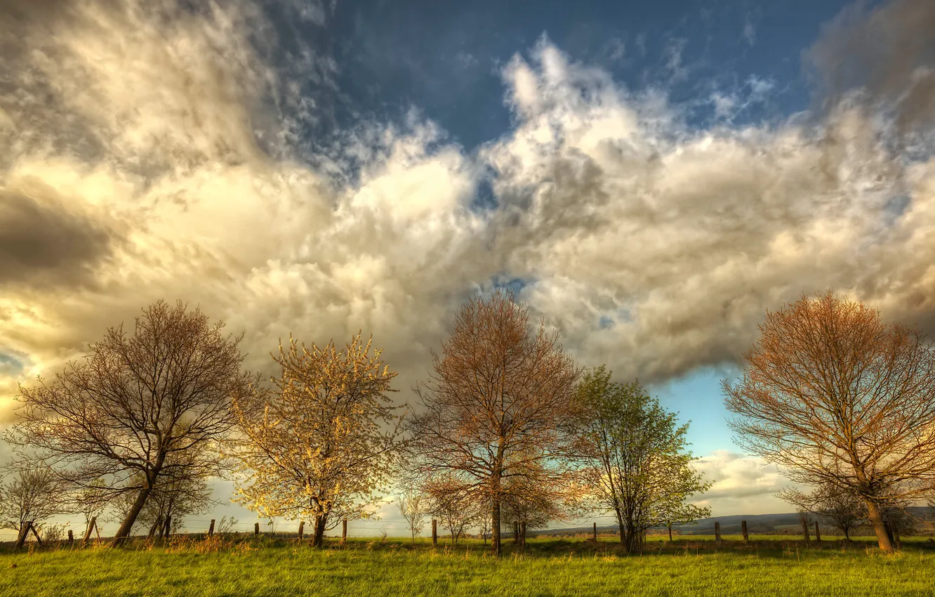 Фото обои поле, небо, облака, деревья, природа, весна
