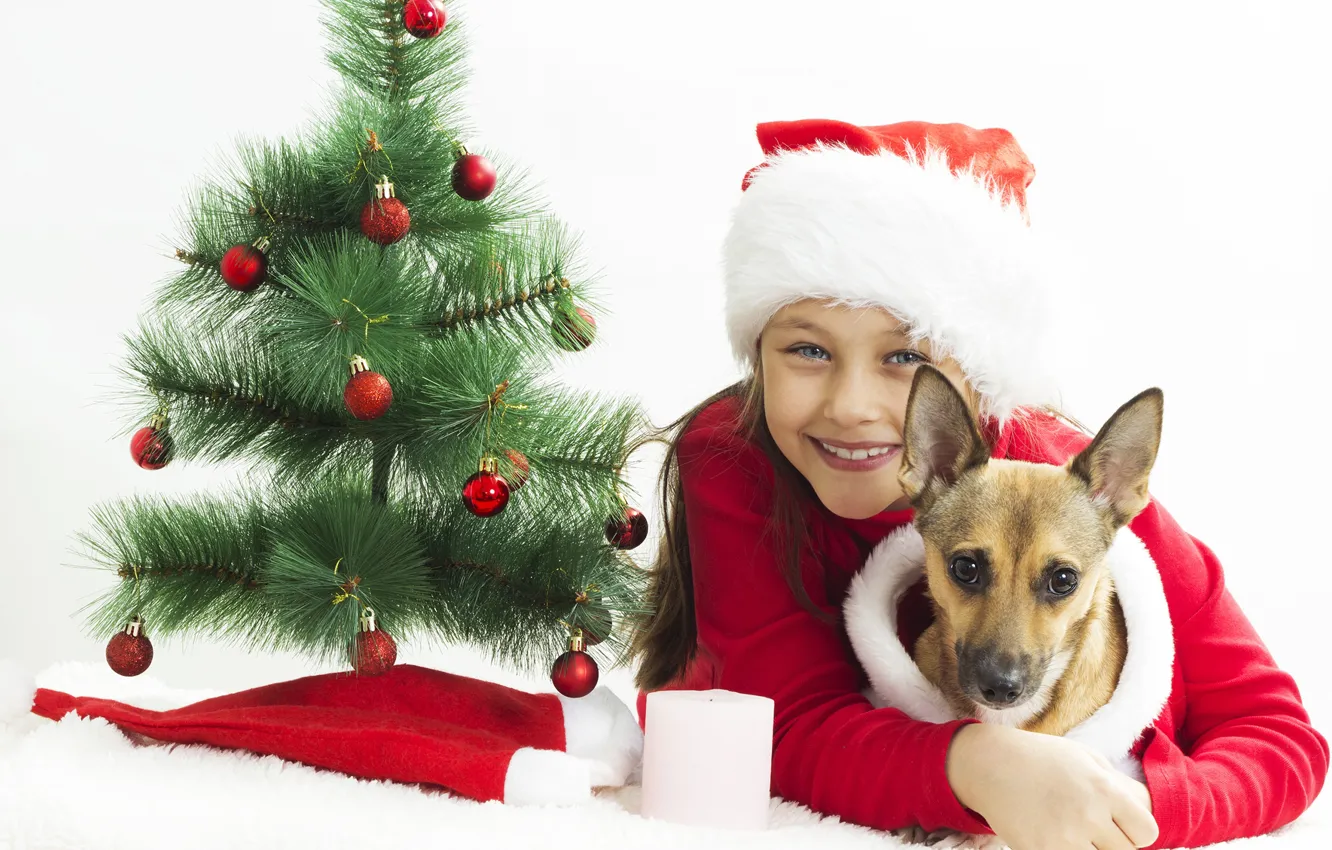 Фото обои взгляд, радость, лицо, елка, девочка, щенок, Новый год, Christmas