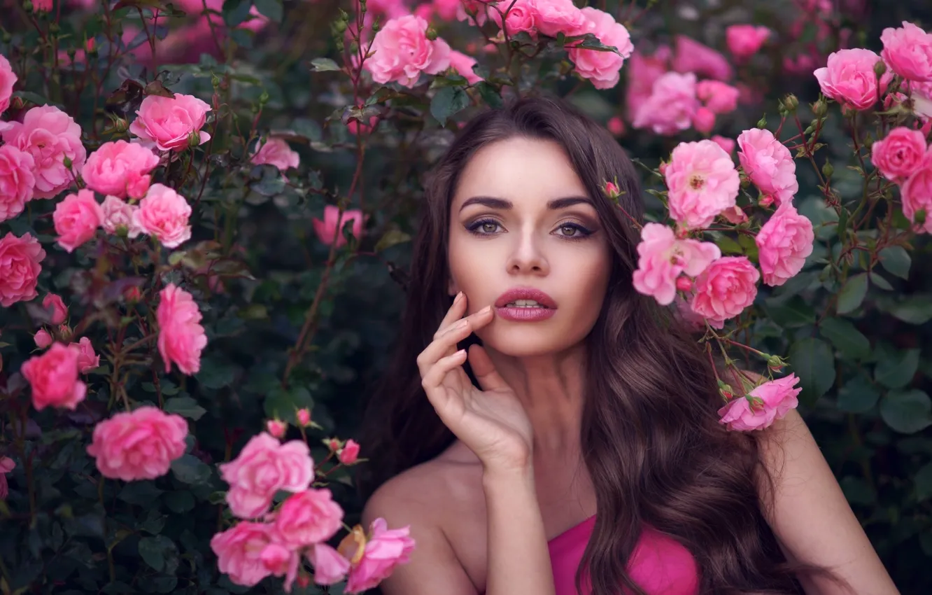 Фото обои девушка, цветы, розы, макияж, брюнетка, прическа, красотка, кусты