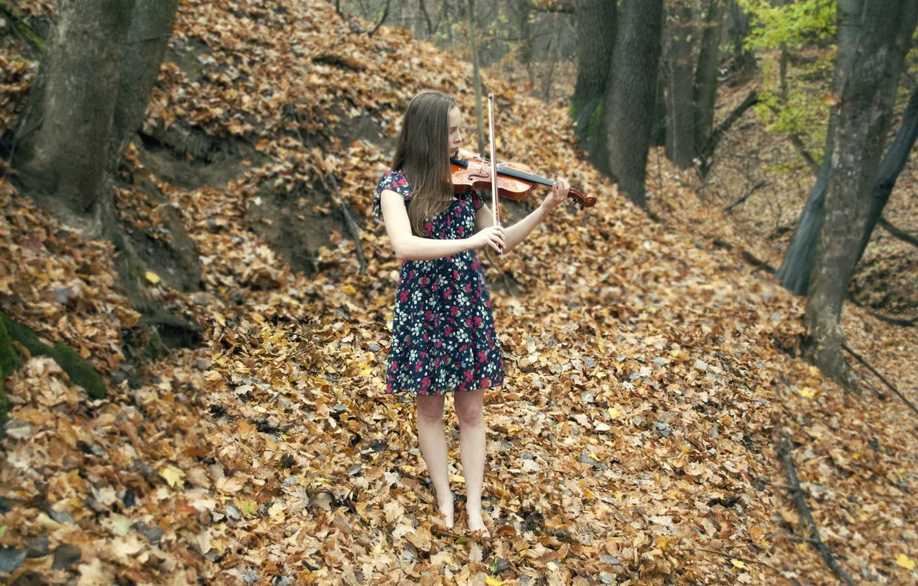 Фото обои осень, девушка, музыка, скрипка