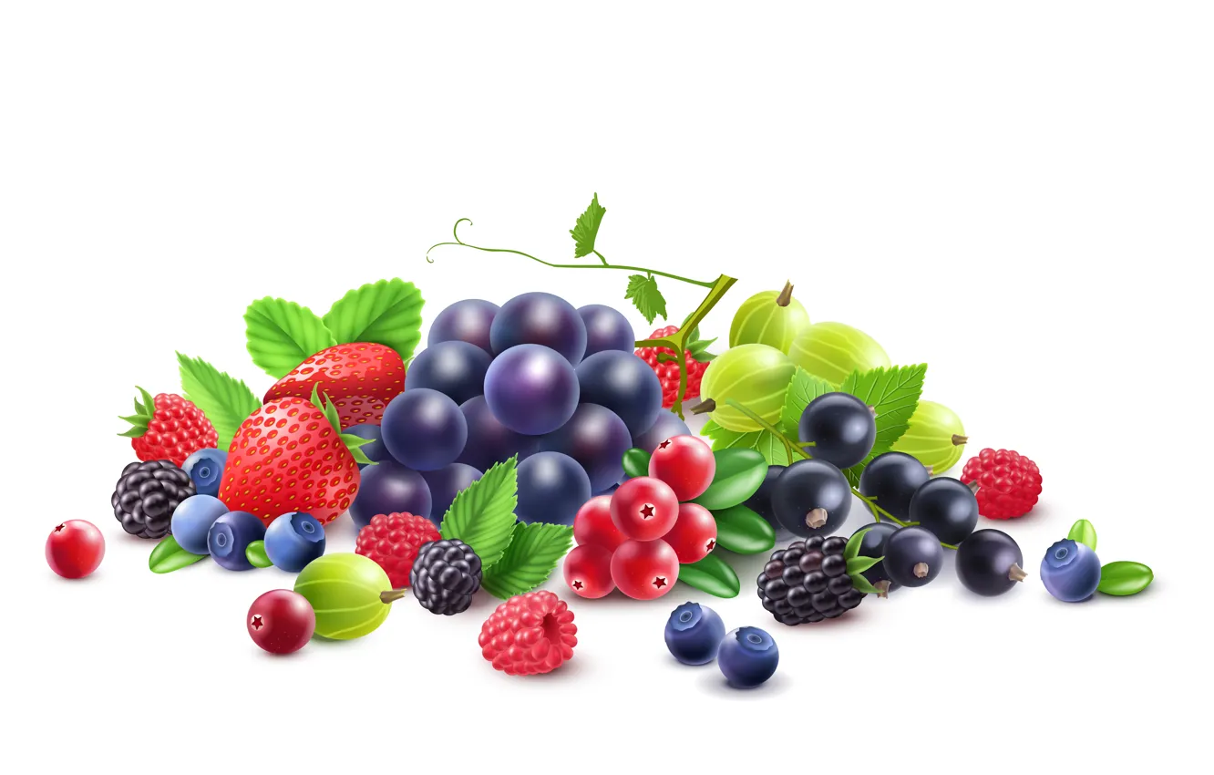 Фото обои ягоды, малина, черника, клубника, виноград, белый фон, смородина, крыжовник