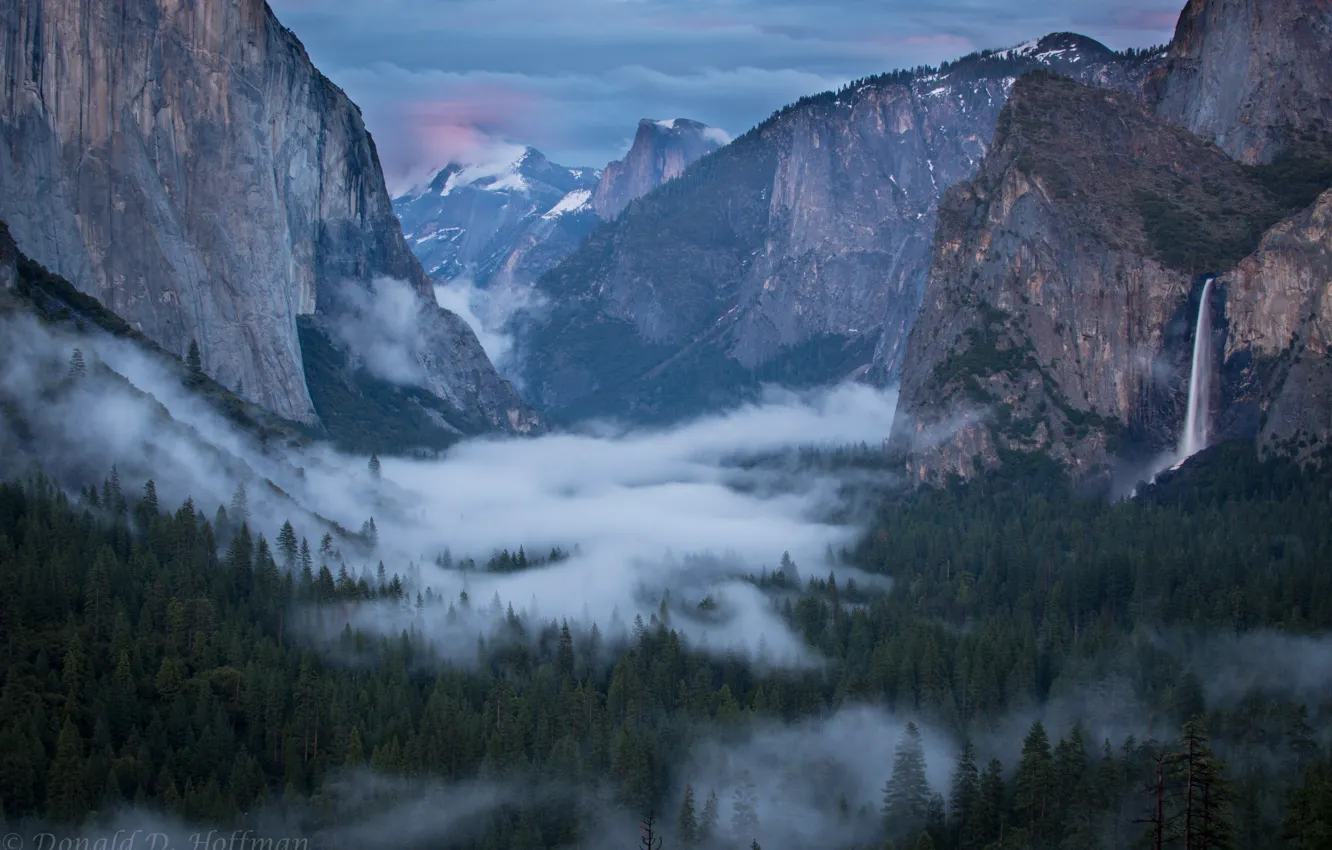 Фото обои небо, деревья, горы, природа, туман, скалы, USA, США