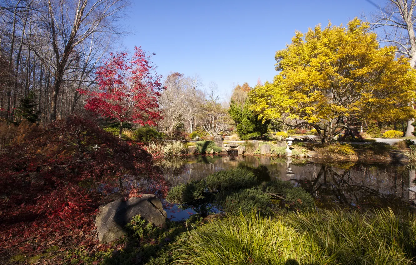 Фото обои Природа, Осень, Деревья, Пруд, США, Gibbs Gardens, Парки, Ground Georgia