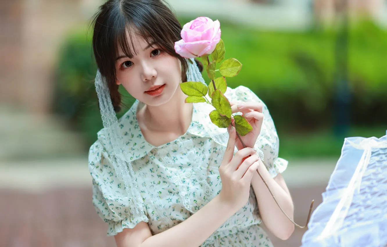 Фото обои Beautiful, Asian, Model, Flower, Rose, Umbrella, Woman, Cute