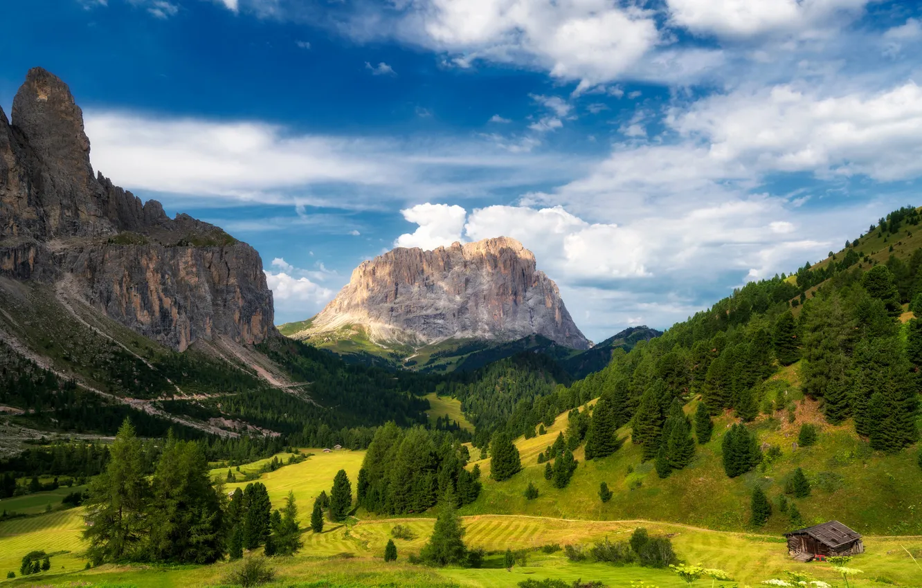 Фото обои лес, небо, облака, горы, синева, вершины, домик