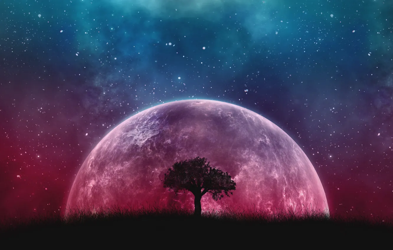 Фото обои Fantasy, Tree, Planet, Stars sky