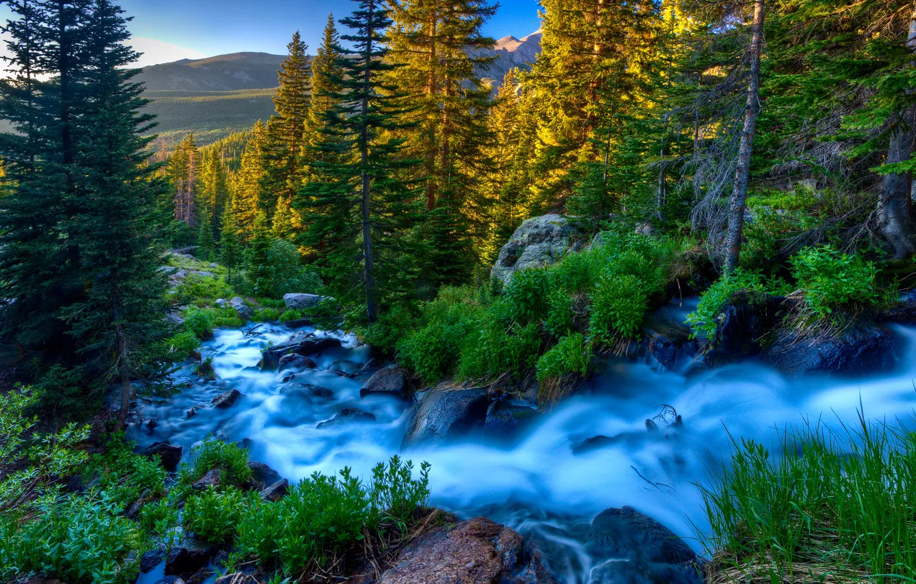 Фото обои лес, природа, река, камни, поток