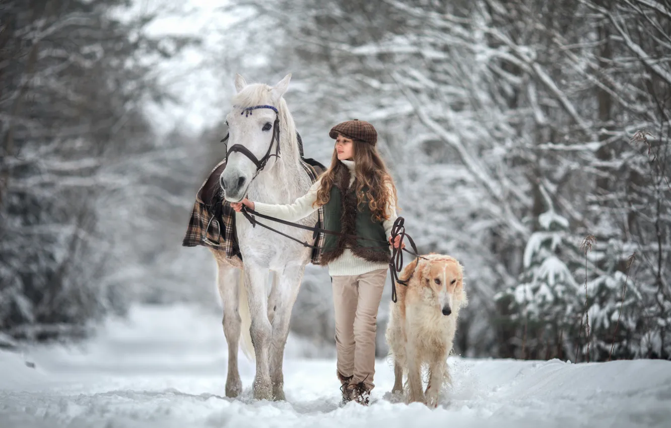 Фото обои зима, снег, лошадь, собака, девочка