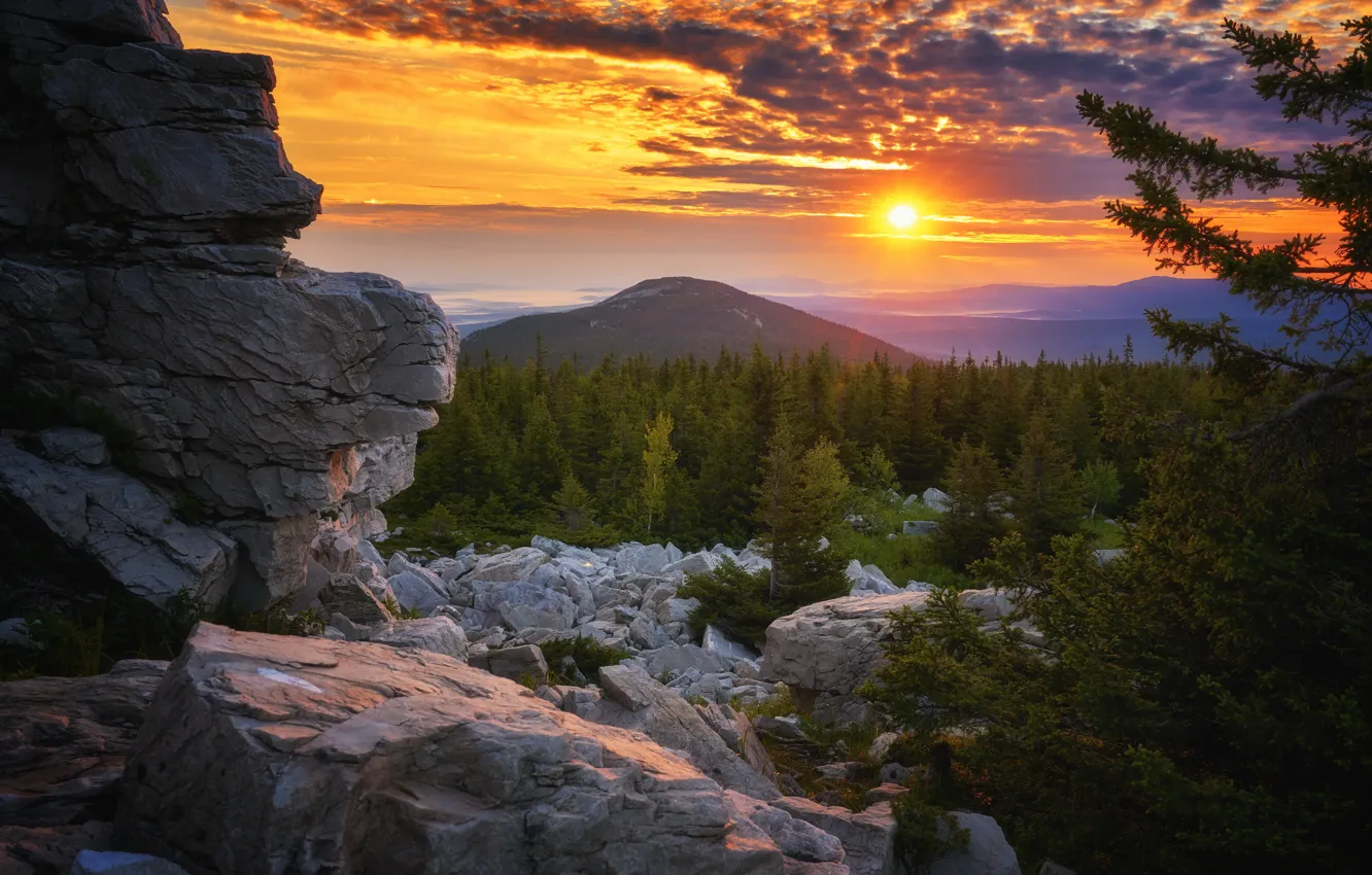 Фото обои лес, солнце, облака, закат, горы, камни