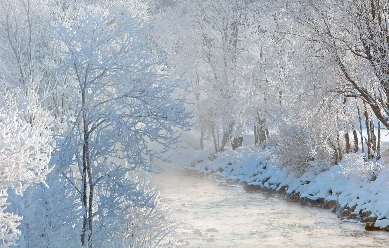 Фото обои зима, снег, река, Австрия, деревь, Зальцах