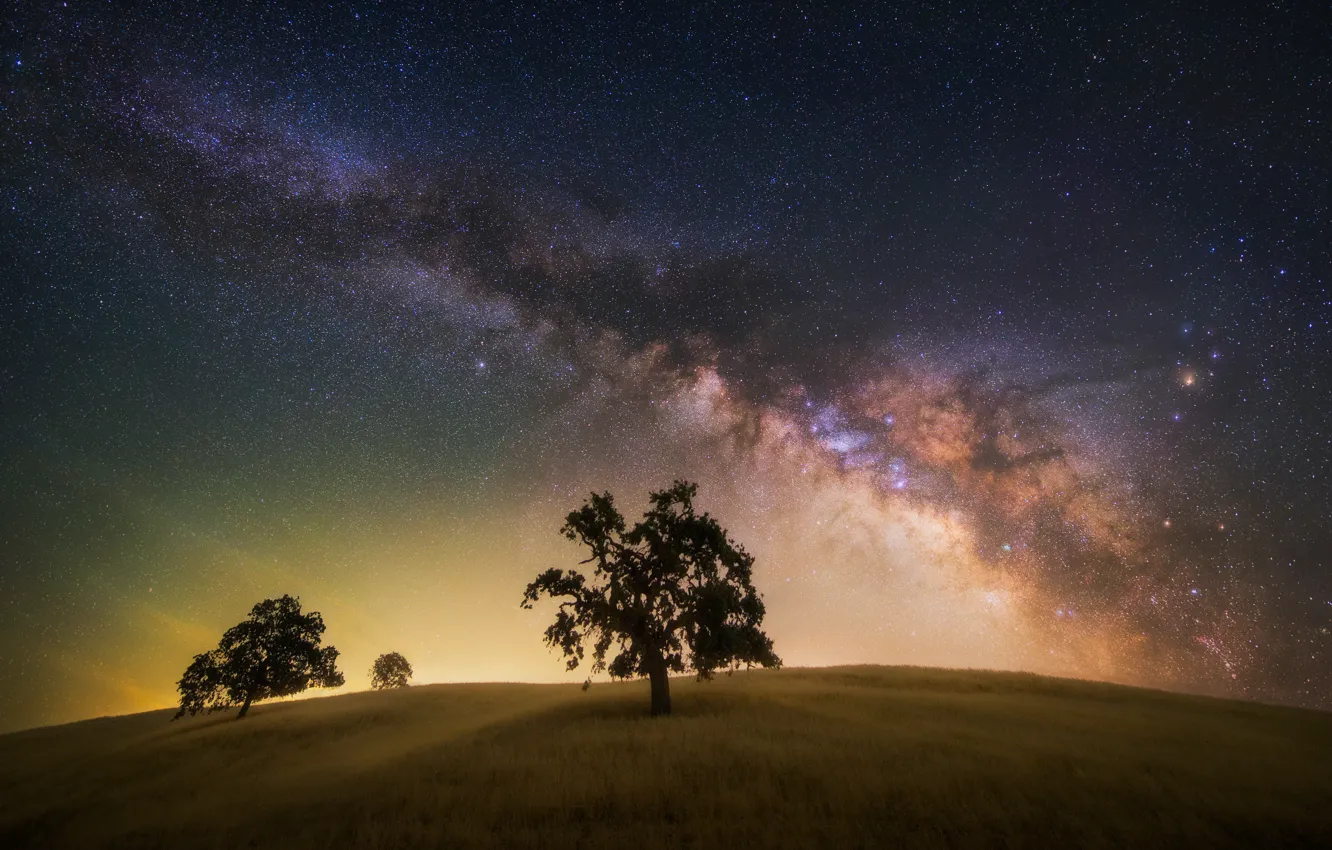 Фото обои поле, небо, звезды, деревья, ночь, дерево, млечный путь