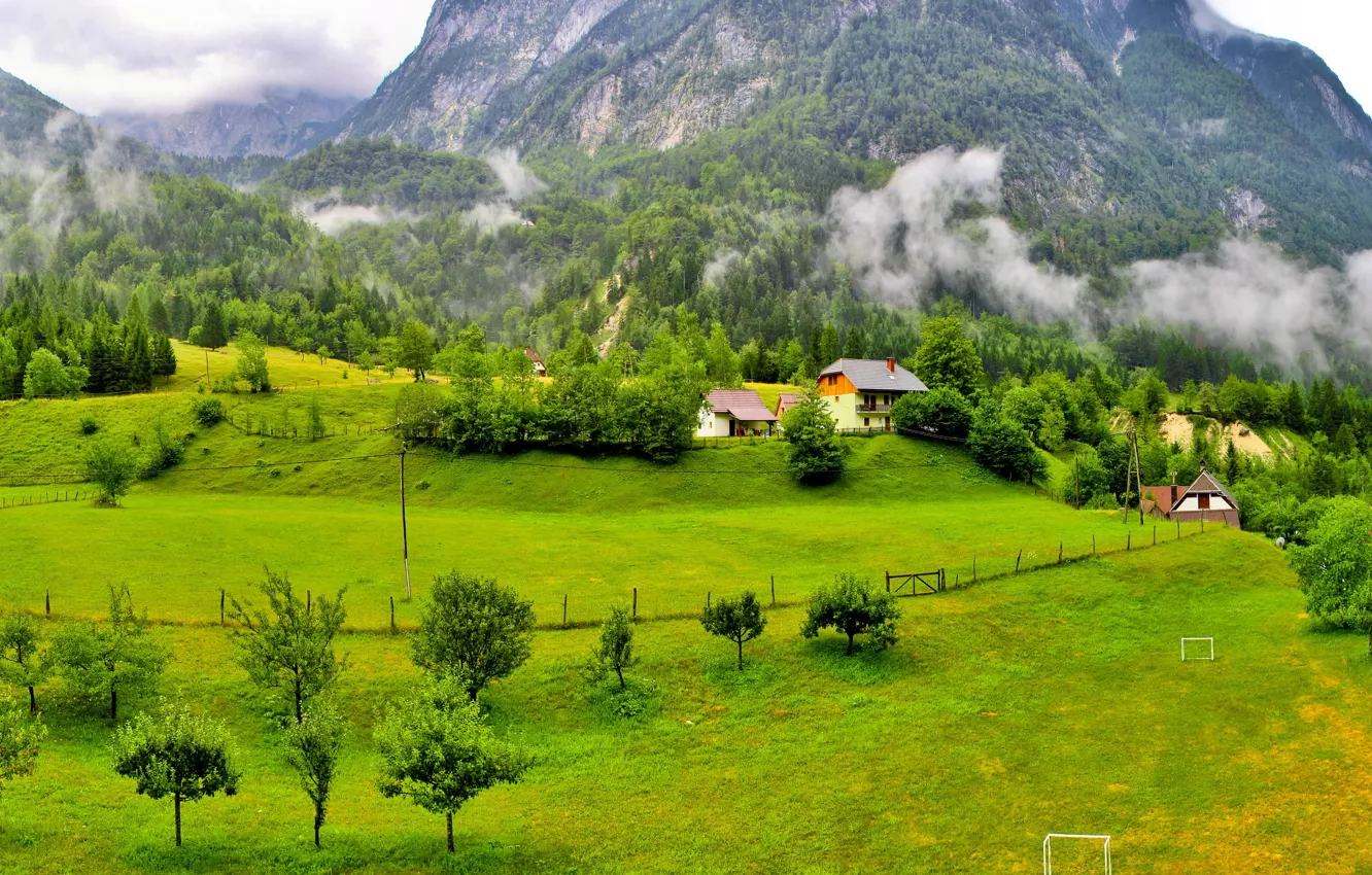 Фото обои лес, трава, облака, деревья, горы, дома, Словения, Slovenia